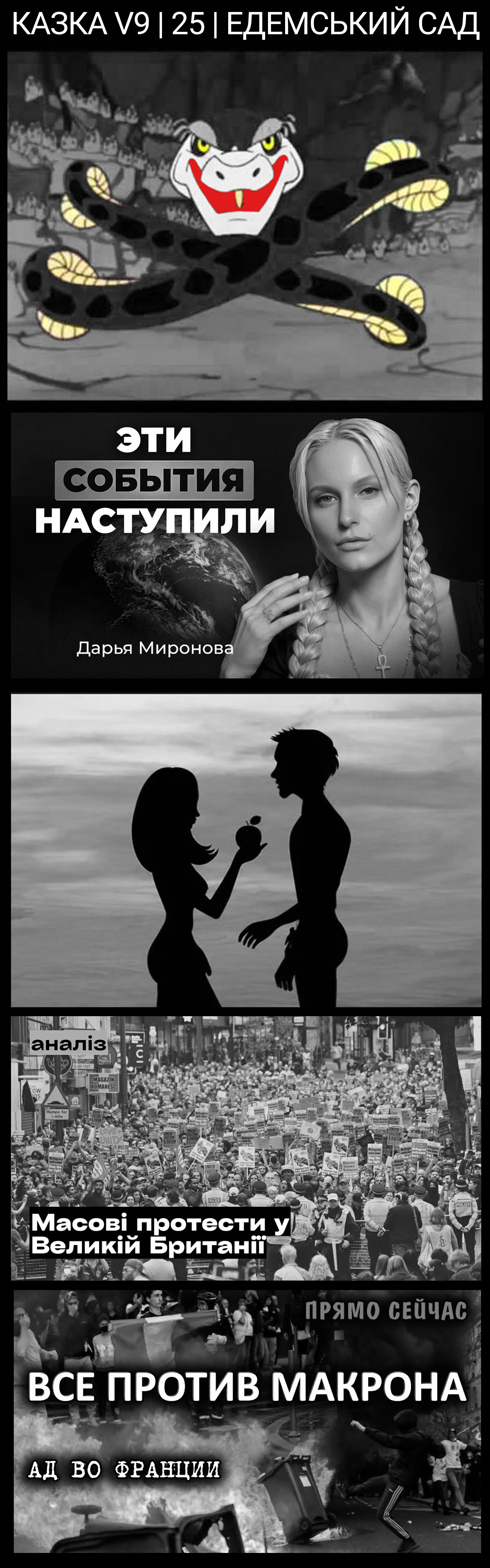 Цитата
