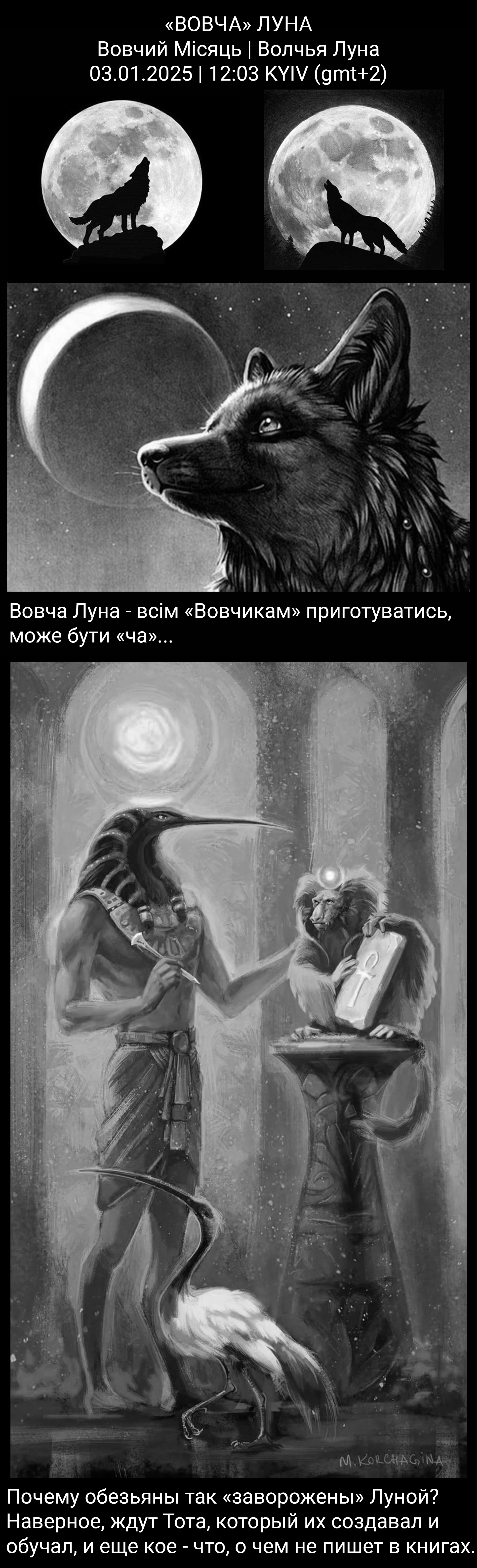 Цитата