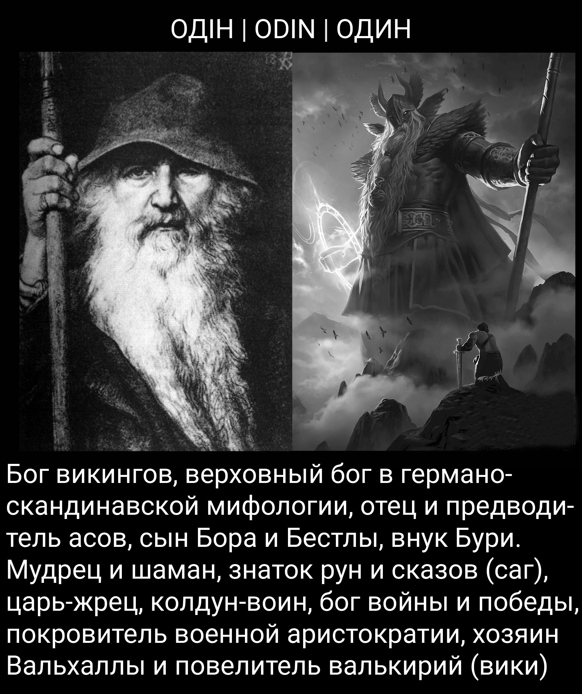 Цитата